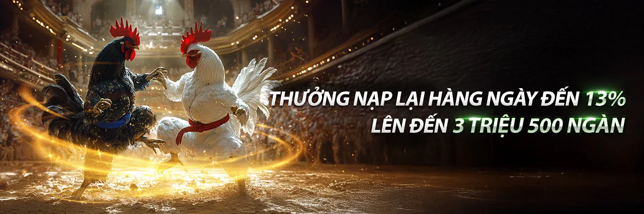 Các trò chơi đá gà, casino, slot game tại 777king99